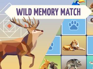 Wild Memory Match HD