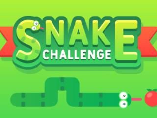 Snake Challenge